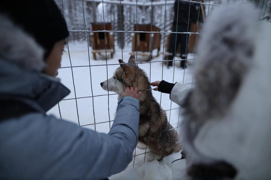Rovaniemi: Santa Claus Village Tour Huskies & Reindeer ride - Santa Claus Village: meeting Santa and your Arctic Circle moment