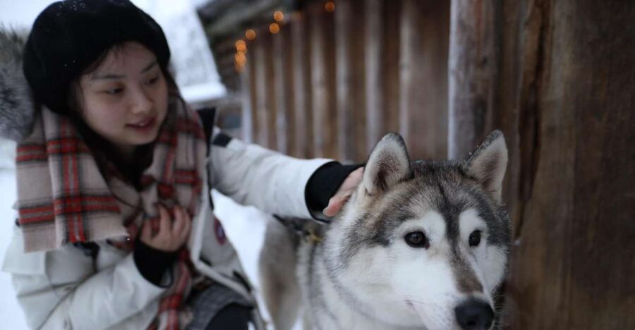Rovaniemi: Santa Claus Village Tour Huskies & Reindeer Visit - Rovaniemi pickup to Santa Claus Village: how the morning run actually works