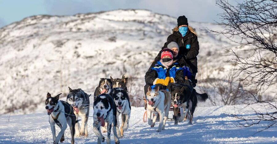 Rovaniemi: Santa's Village, Husky, & Reindeer Sled Ride - Santa Claus Village: the Arctic Circle stop that sets the tone