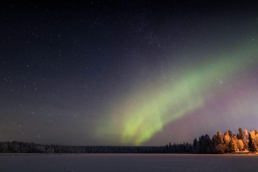 Rovaniemi: Sauna & Ice Swimming Tour with Dinner and Aurora - Dinner by Firelight: Smoked Salmon, Warm Drinks, and Real Comfort