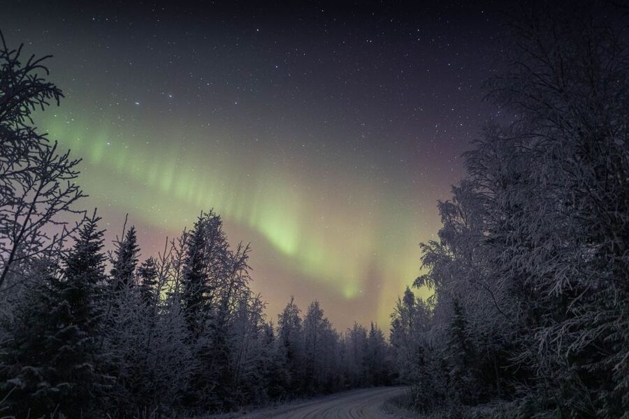 Rovaniemi: Sauna & Ice Swimming Tour with Dinner and Aurora - Price and Value: Is $184 Worth It?