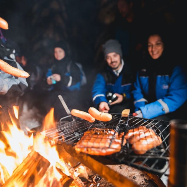 Rovaniemi: Search for Northern Lights Snowmobiling Trip - Key Things I’d Bet On
