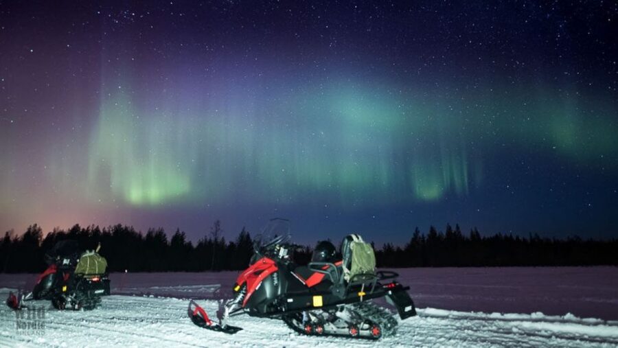 Rovaniemi: Search for Northern Lights Snowmobiling Trip - The Snowy Forest After Dark: What the Ride Feels Like