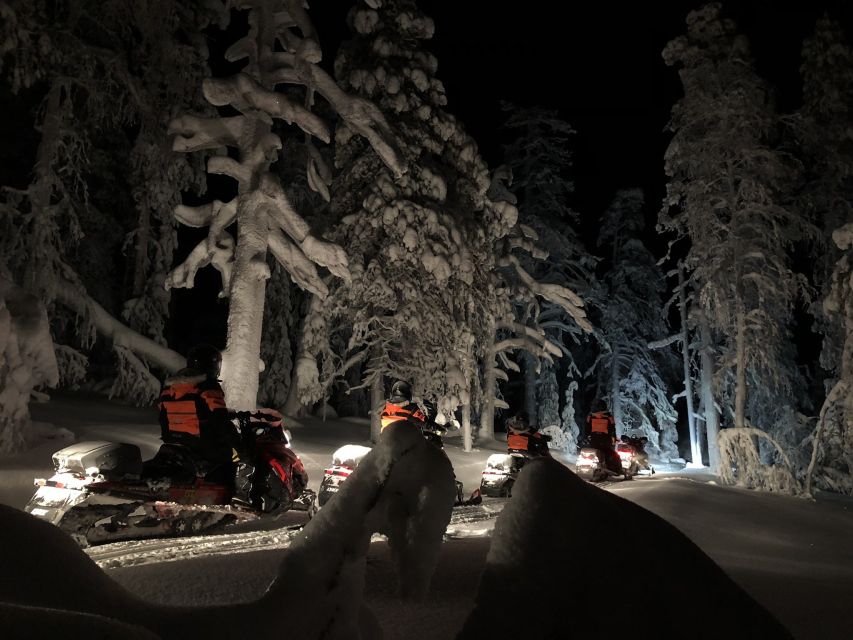 Rovaniemi: Search for Northern Lights Snowmobiling Trip - Small Group Size and Why It Matters