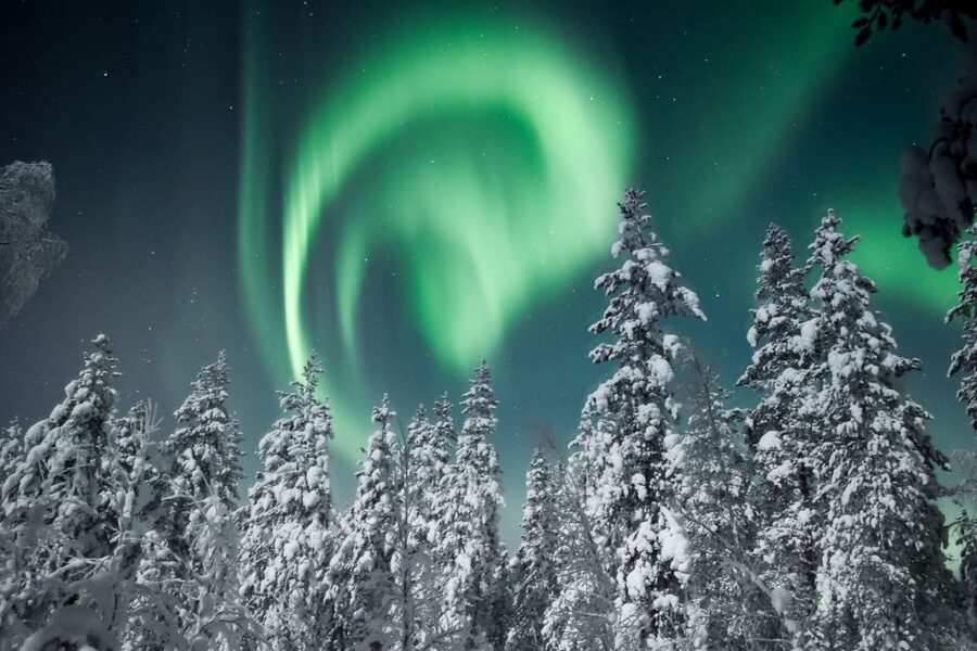 Rovaniemi: Search for Northern Lights Snowmobiling Trip - Price and Value: Is $199 Fair for 2 Hours?
