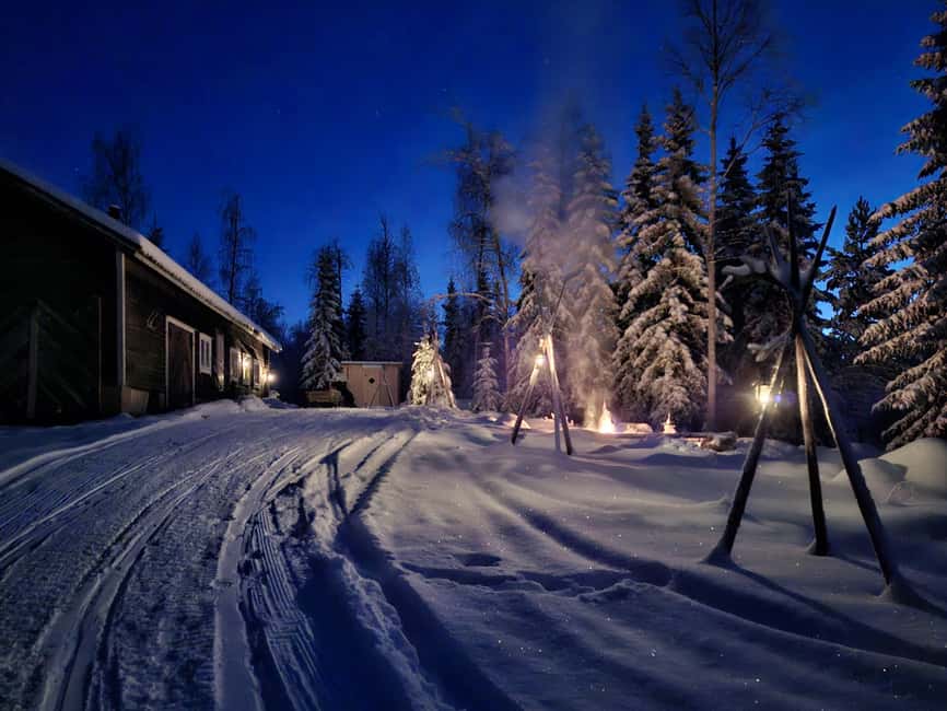 Rovaniemi:Self-drive Husky safari with a Reindeer Farm visit - Reindeer farm time that feels remote, calm, and animal-first