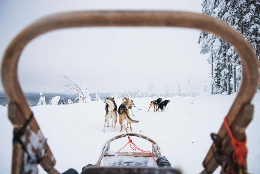 Rovaniemi: Self-Driving Husky Tour 7-kilometers - Rovaniemi Husky Mushing in 2 Hours, What You Really Get