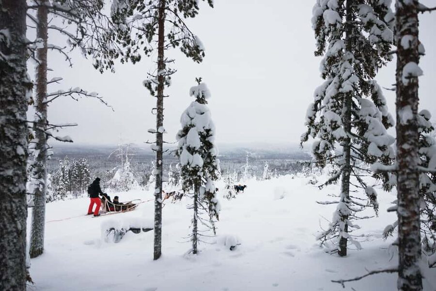 Rovaniemi: Self-Driving Husky Tour 7-kilometers - How the Small Group Changes the Ride