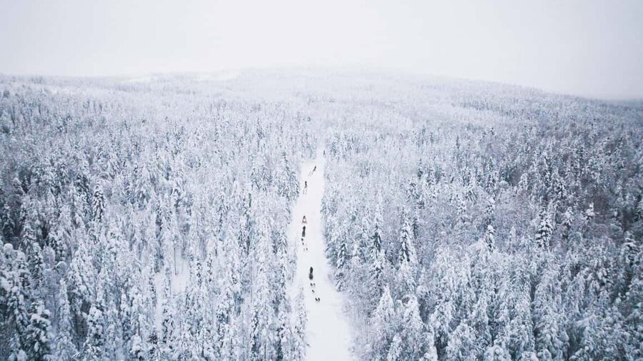 Rovaniemi: Self-Driving Husky Tour 7-kilometers - What to Pack, and What the Tour Covers
