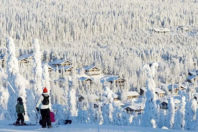 Rovaniemi: Slalom and Alpine Skiing - Why the guide matters more than the views