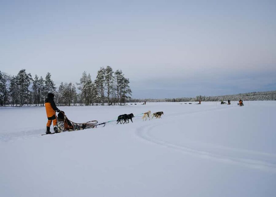 Rovaniemi: Small group Adults-Only 12-18km Husky Tour - Rovaniemi pickup, then straight to Bearhill Husky