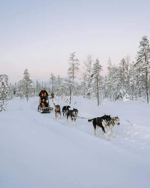 Rovaniemi: Small group Adults-Only 12-18km Husky Tour - Arctic gear first, then real safety briefing and training