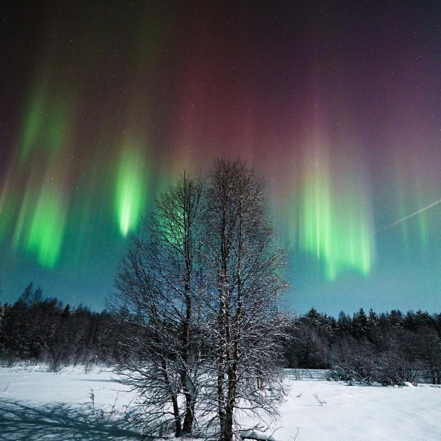 Rovaniemi: Small Group Aurora Hunt-full money back guarantee - When you finally see clear skies: what the viewing moment feels like