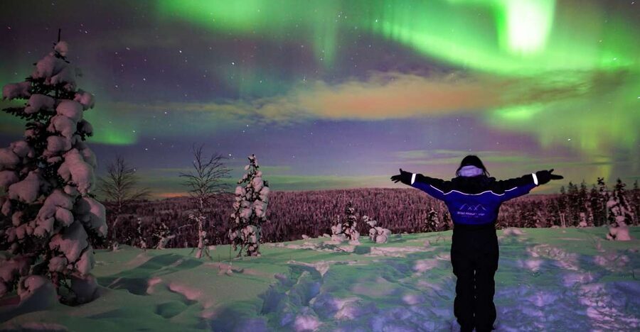 Rovaniemi: Small-Group Northern Lights Wilderness Tour - Price and value: is $136 a fair deal for Lapland?