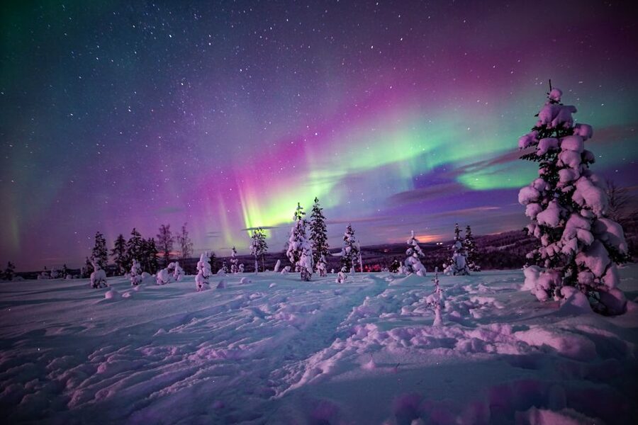 Rovaniemi: Small-Group Northern Lights Wilderness Tour - Weather is the real boss, and the tour has a plan for it