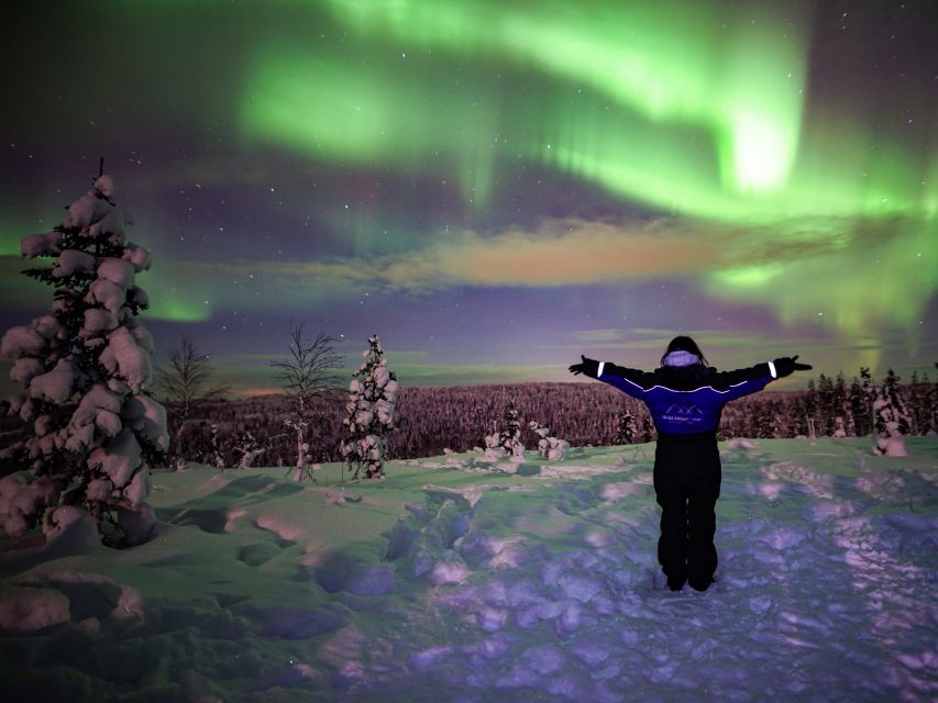 Rovaniemi: Small-Group Northern Lights Wilderness Tour - Getting picked up (and how to avoid last-minute confusion)