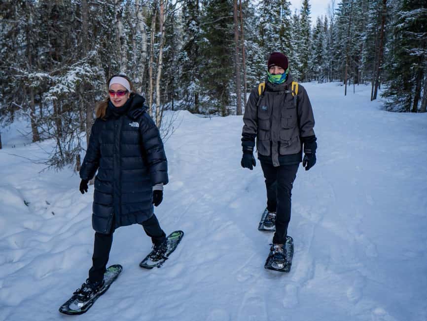 Rovaniemi: Small-Group Snowshoe Tour at Vikaköngäs & BBQ - Key points at a glance