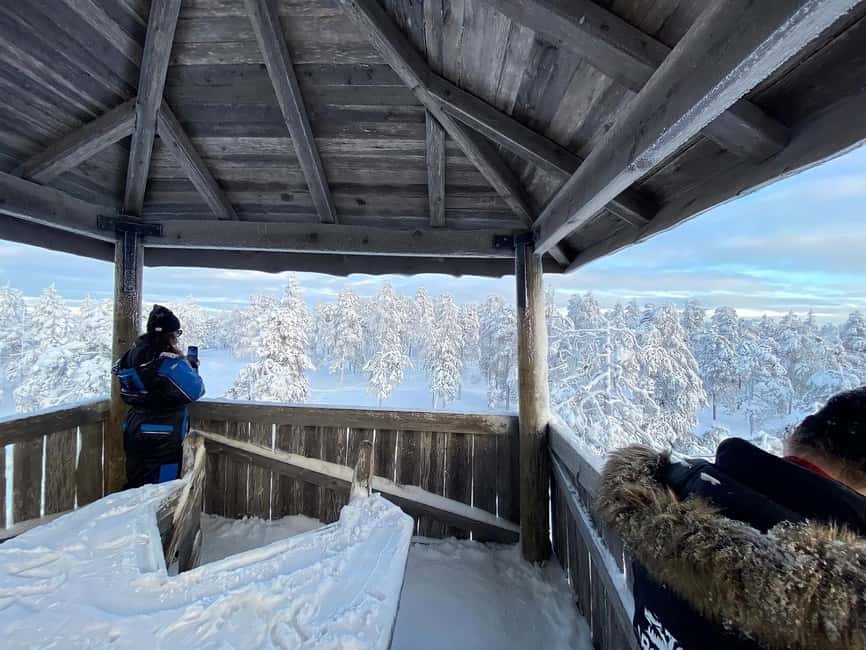 Rovaniemi: Small-Group Snowshoe Tour at Vikaköngäs & BBQ - Walking the snowy forests and frozen lakes