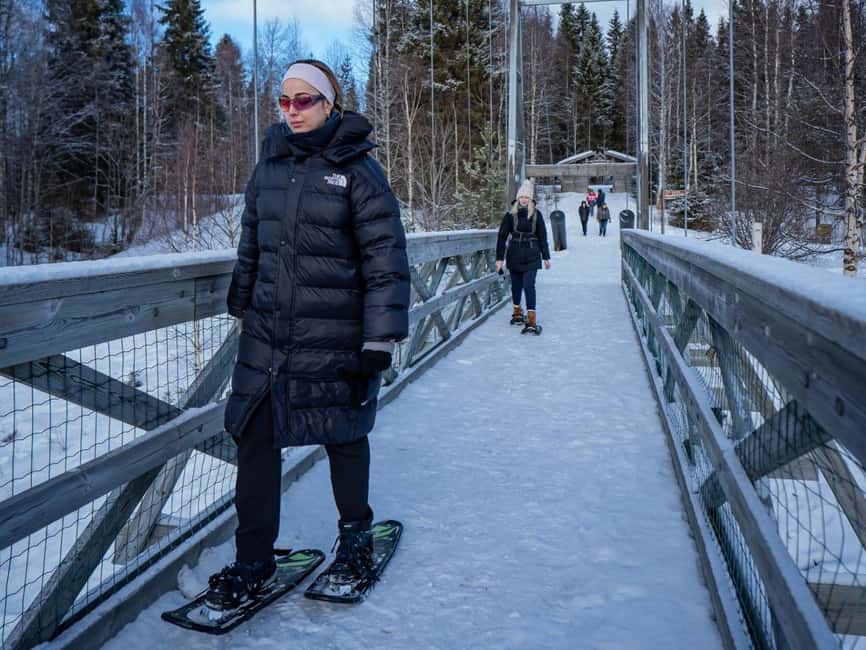Rovaniemi: Small-Group Snowshoe Tour at Vikaköngäs & BBQ - Price and value for a 3-hour Lapland snowshoe with BBQ