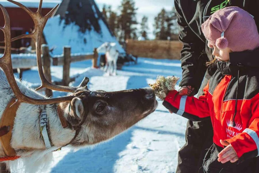 Rovaniemi: Snow Tour with Huskies, Reindeer, & Mini Scooters - Why This 4-Hour Rovaniemi Snow Tour Is Such a Good Family Fit