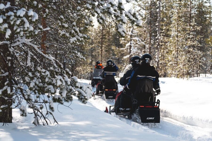 Rovaniemi: Snowmobile Adventure Tour for Adults Only - Why this adults-only snowmobile safari feels different in Lapland