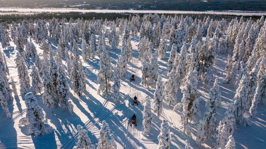Rovaniemi: Snowmobile Adventure Tour for Adults Only - What the tour is actually like at speed