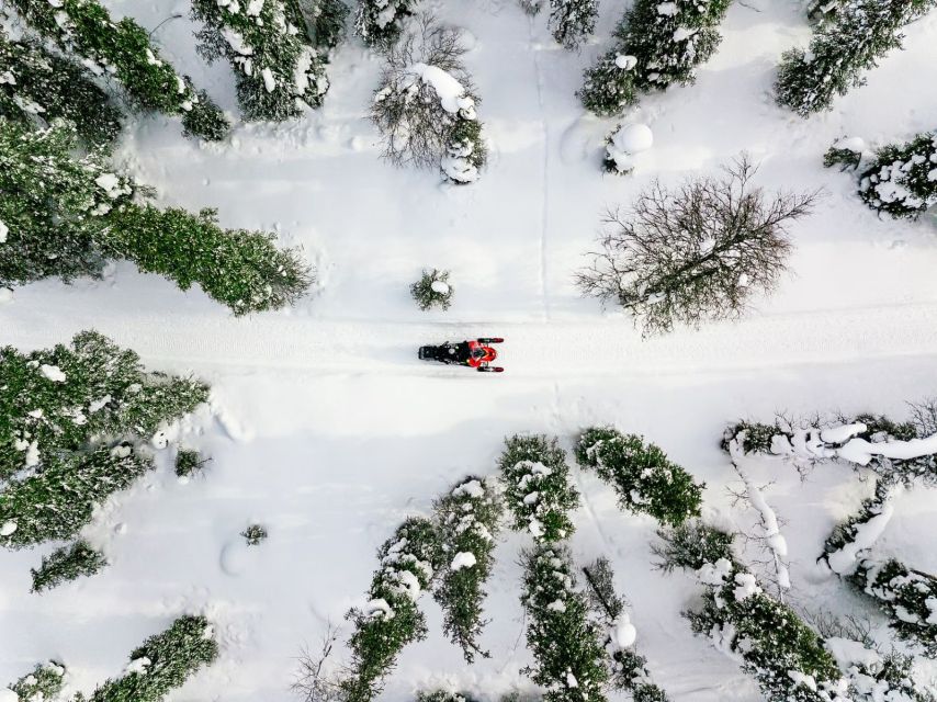 Rovaniemi: Snowmobile Safari Adventure - Quick hits before you go