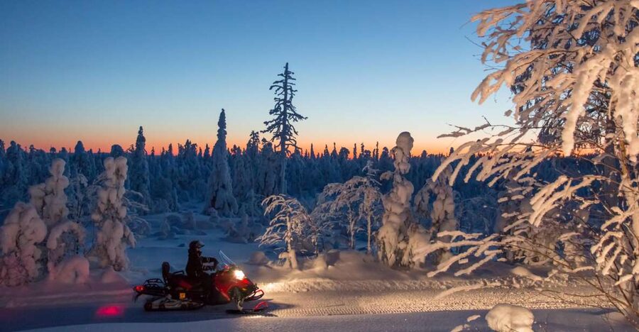 Rovaniemi: Snowmobile Safari & Campfire Evening Escape - Should You Book This Snowmobile Safari?