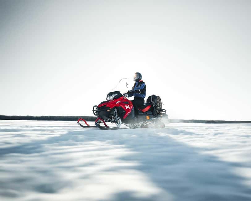 Rovaniemi: Snowmobile Safari into the Wilderness - Key Things to Know Before You Go