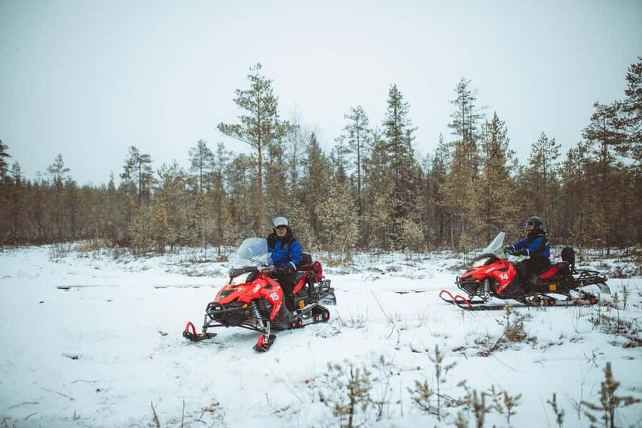 Rovaniemi: Snowmobile Safari into the Wilderness - Winter Gear, Hand Warmth, and Passenger Comfort