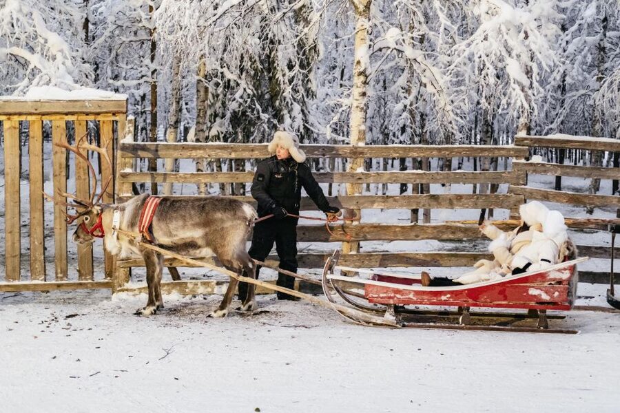Rovaniemi: Snowmobile Safari, Reindeer & Husky Sleigh Ride - How long it really takes and how the timing feels