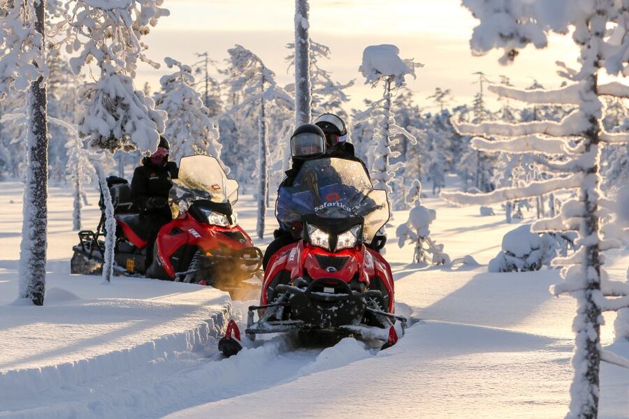 Rovaniemi: Snowmobile Safari to a Reindeer Farm - Key highlights worth showing up for
