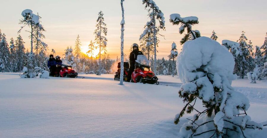 Rovaniemi: Snowmobile Safari to a Reindeer Farm - Snowmobile Training, Pairing Up, and What You Control