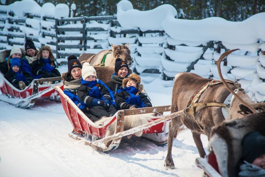Rovaniemi: Snowmobile Safari to a Reindeer Farm - Safety, Liability, and Insurance Options You Should Know