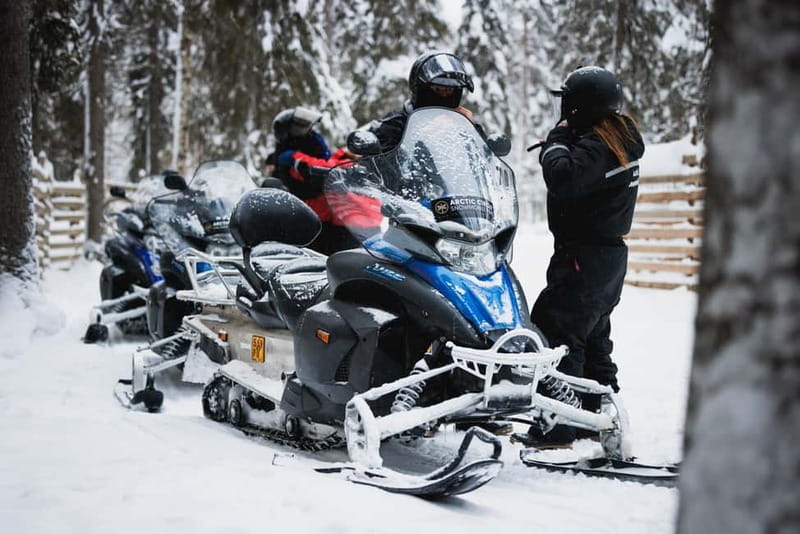 Rovaniemi: Snowmobile Tour and Reindeer Experience - Reindeer Manor: meeting the herd and learning how herding works