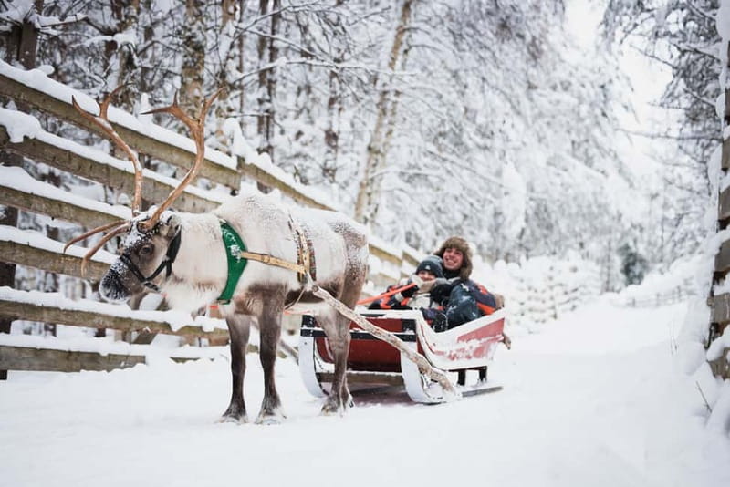 Rovaniemi: Snowmobile Tour and Reindeer Experience - Meeting up in Rovaniemi and getting fully winter-ready