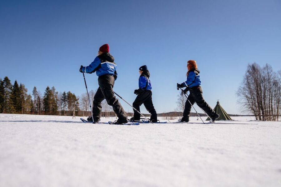 Rovaniemi: Snowshoe Walk to The Arctic Nature - Price and Logistics, The Stuff That Can Make or Break Your Day