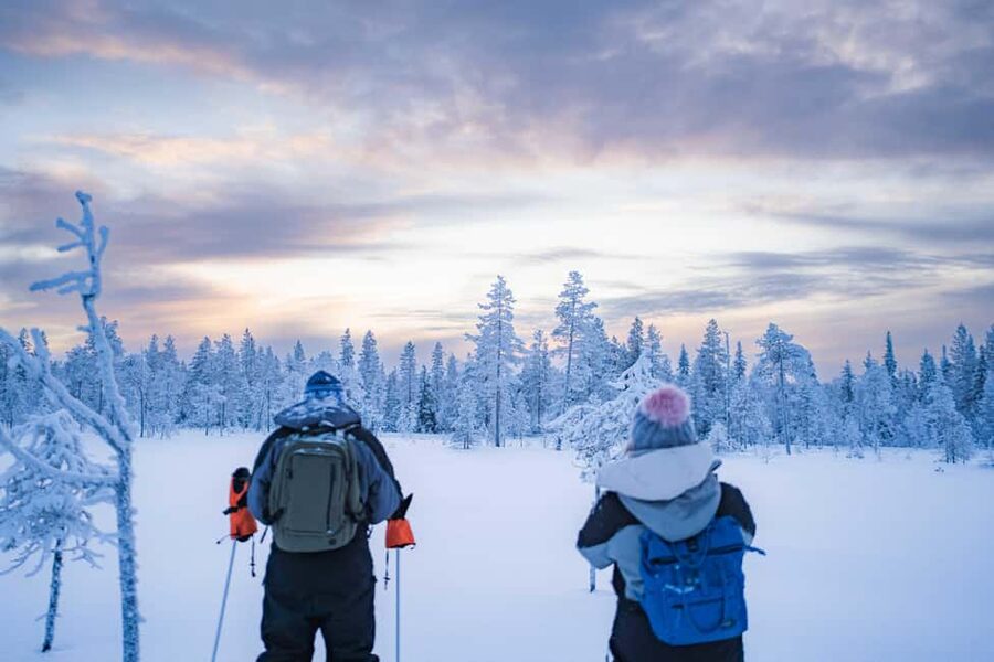 Rovaniemi: Snowshoe Wilderness Adventure with Photos & BBQ - Into the Arctic Forest from Rovaniemi, Without the Hassle