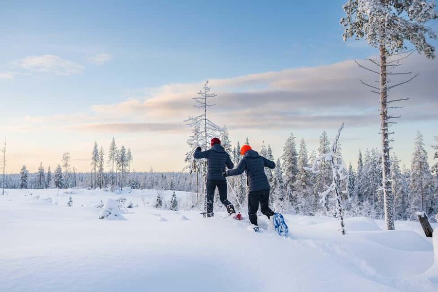Rovaniemi: Snowshoe Wilderness Adventure with Photos & BBQ - How the Photographer Teaches You to Shoot Arctic Winter Scenes