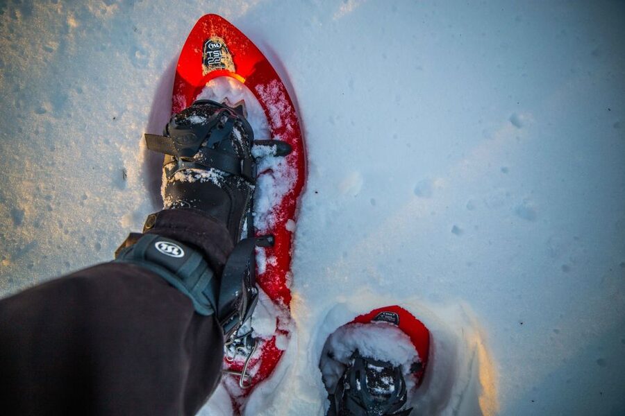 Rovaniemi: Snowshoe Wilderness Adventure with Photos & BBQ - Gear, Clothing, and Staying Comfortable in Deep Snow