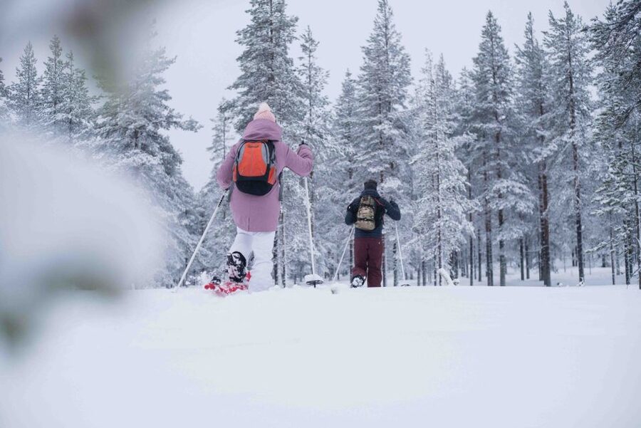 Rovaniemi: Snowshoe Wilderness Adventure with Photos & BBQ - Price and Timing: Is $80 Good Value for 3 Hours?