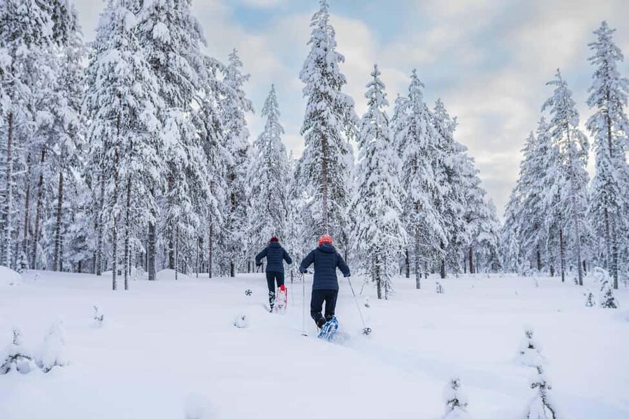 Rovaniemi: Snowshoe Wilderness Adventure with Photos & BBQ - Who This Snowshoe Photo Adventure Is Best For