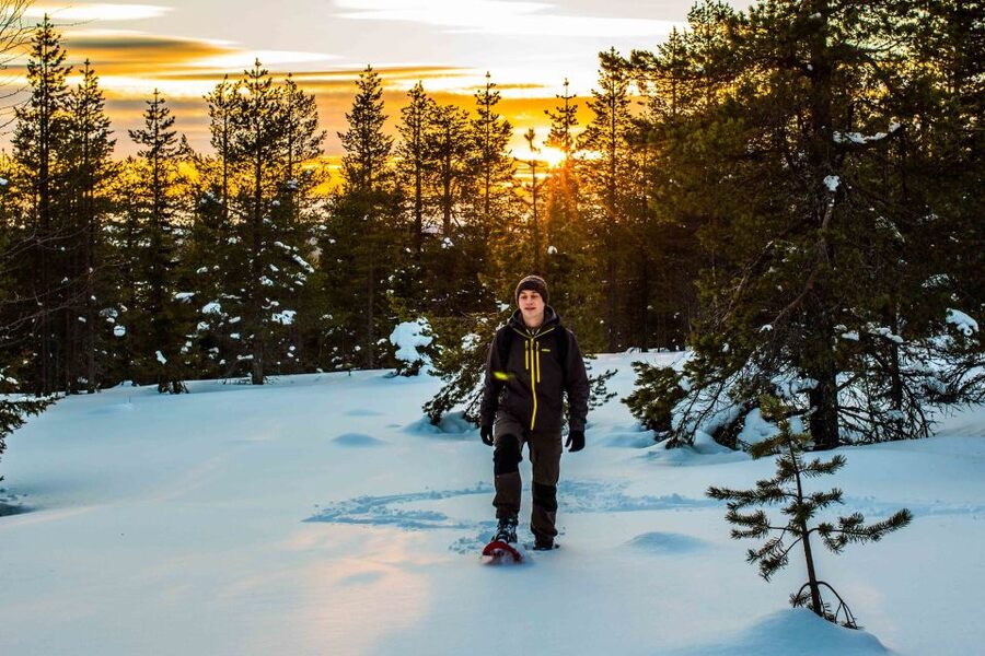 Rovaniemi: Snowshoe Wilderness Adventure with Photos & BBQ - Weather, Wildlife, and What to Expect When Conditions Change