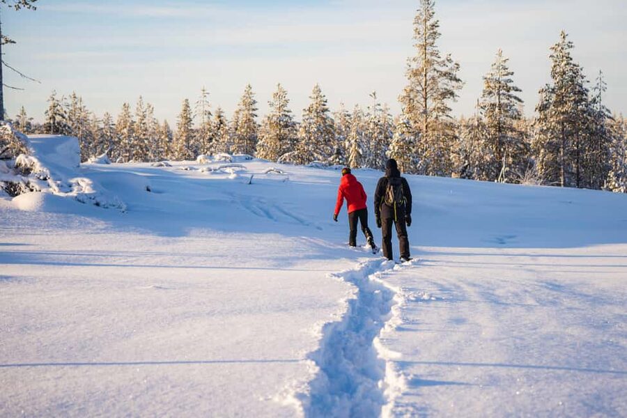 Rovaniemi: Snowshoe Wilderness Adventure with Photos & BBQ - Should You Book It? My Straight Answer