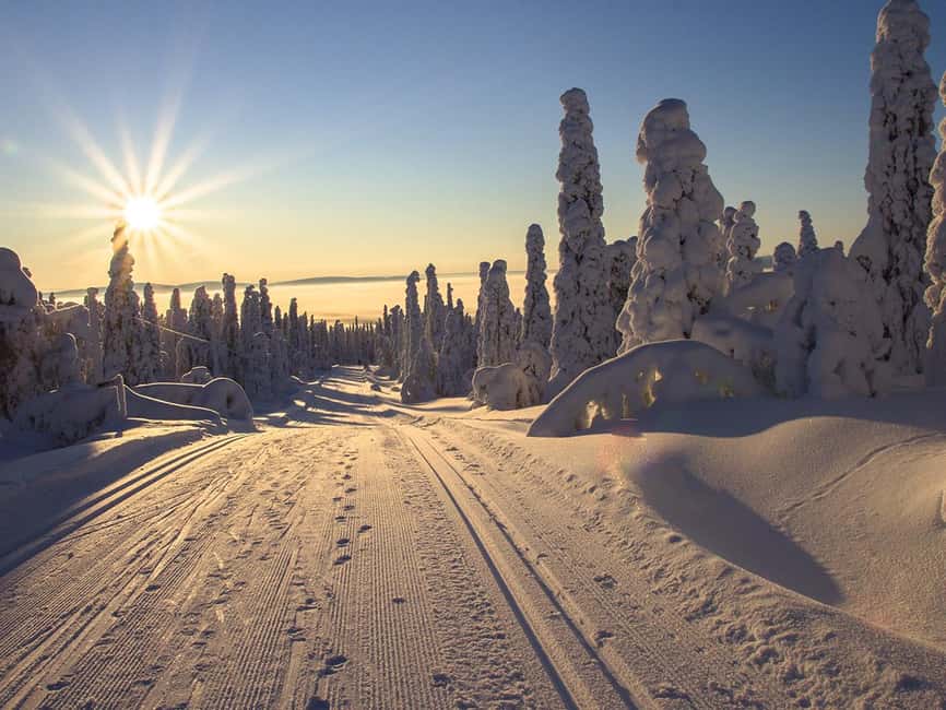 Rovaniemi: Snowshoeing, Ice Fishing and Salmon in Kota - Lapland Primeval Forest Snowshoeing: Why the Guide Matters