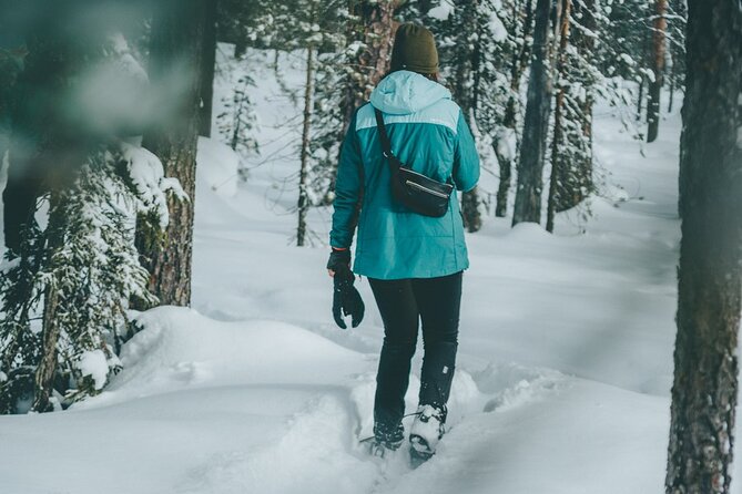 Rovaniemi: Snowshoeing in a magical snowy forest - Key highlights you should care about