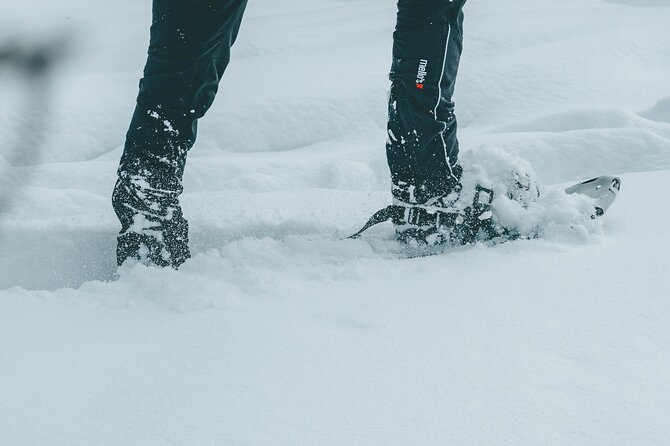 Rovaniemi: Snowshoeing in a magical snowy forest - How the 9:00 am start really affects your day