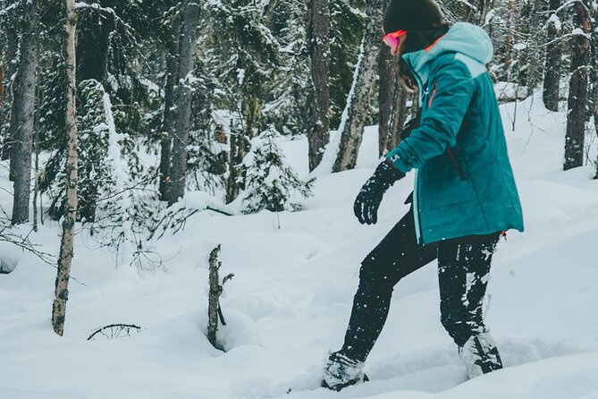Rovaniemi: Snowshoeing in a magical snowy forest - Pickup, small-group pacing, and why the structure feels right