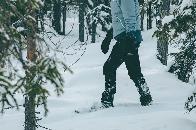 Rovaniemi: Snowshoeing in a magical snowy forest - Price and value: what $98.33 buys you in real terms