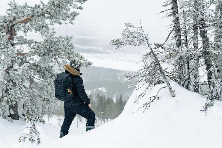 Rovaniemi: Snowshoeing in the Arctic Wilderness - Key Highlights You’ll Actually Care About